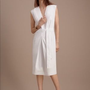 Aritzia Babaton Judith Dress